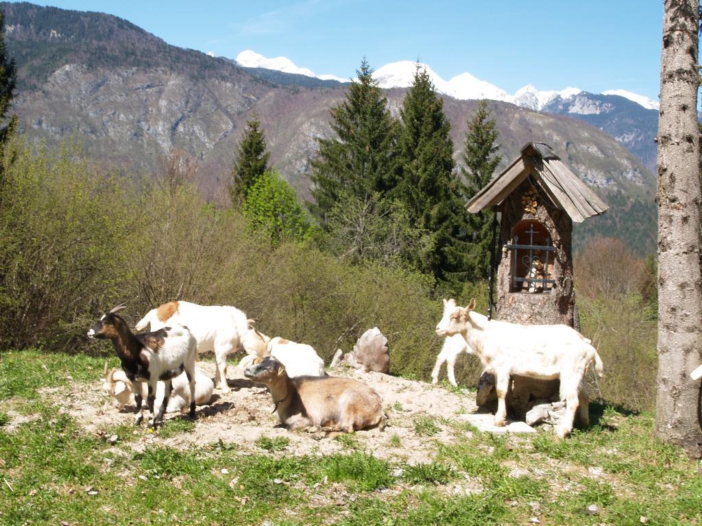 Penzion Rozic Bohinj Exteriör bild